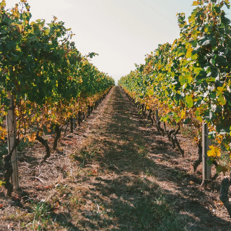 Une fiche récapitulative sur les modes de conduite