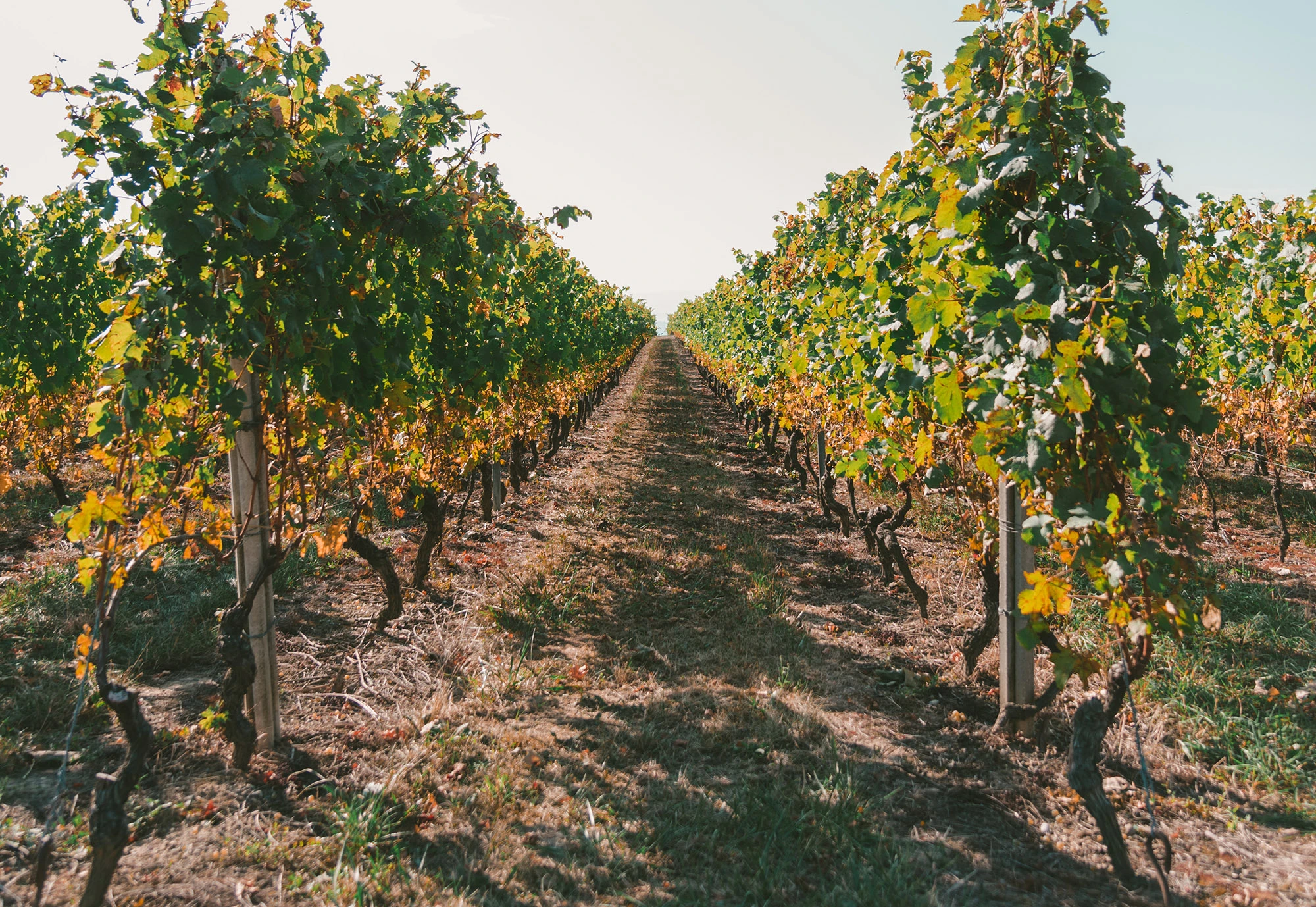 Une fiche récapitulative sur les modes de conduite