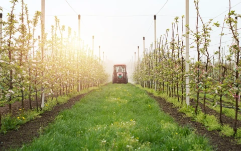 Impact des produits phytopharmaceutiques sur la biodiversité: des résultats significatifs
