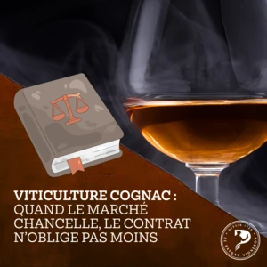 Viticulture cognac : quand le marché chancelle, le contrat n’oblige pas moins