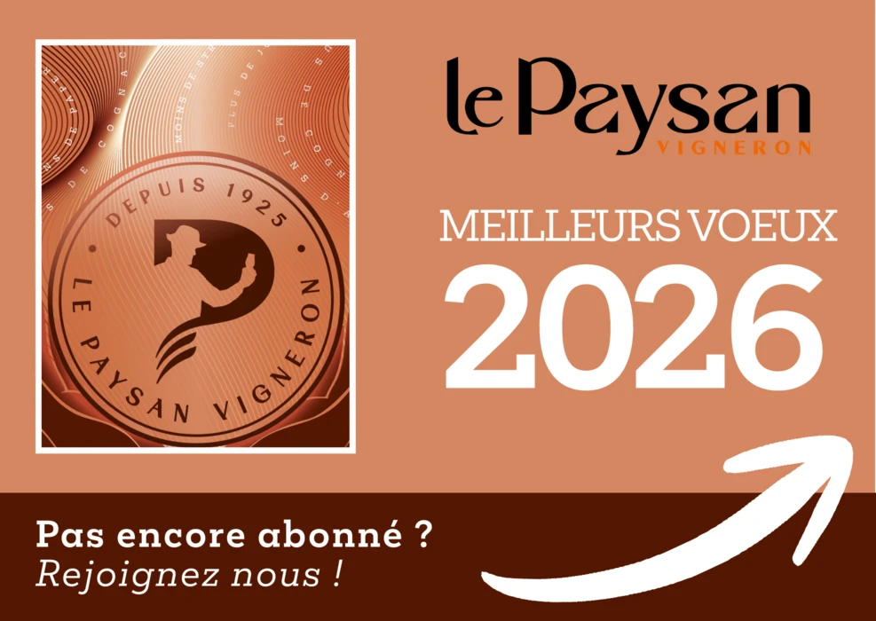 Bonne année 2026 : continuer à vous informer, au plus près du terrain