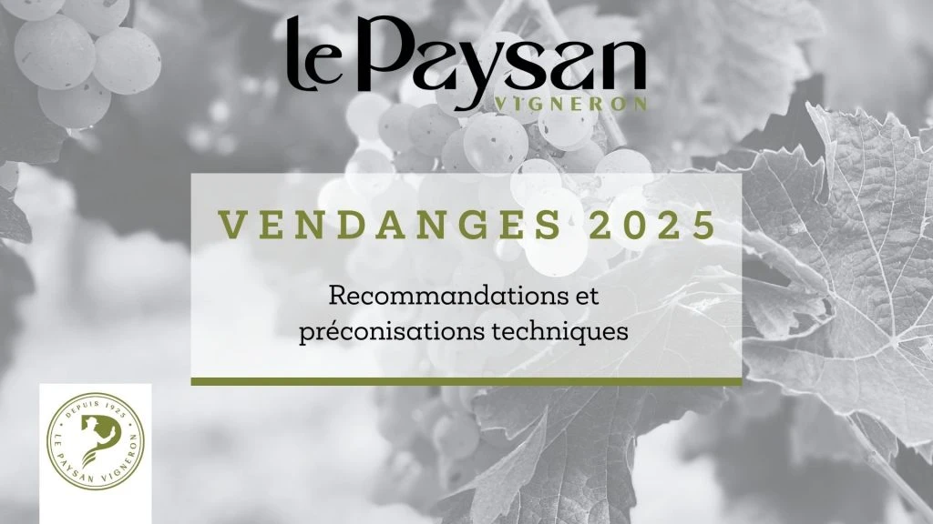 Millésime 2025 : une précocité inattendue….