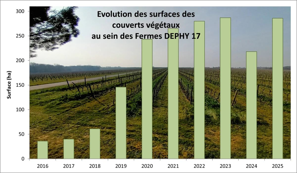 Après des essais concluants en 2016, 2017 et 2018,