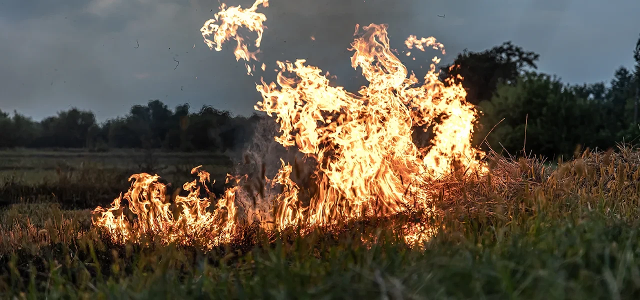 Prévention des feux de récoltes : appel à la vigilance des exploitants agricoles