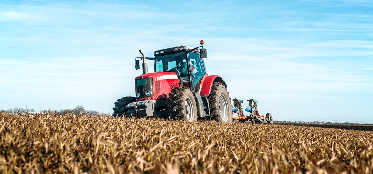Les grandes fermes industrielles, nouvelle norme de l’agriculture française ?