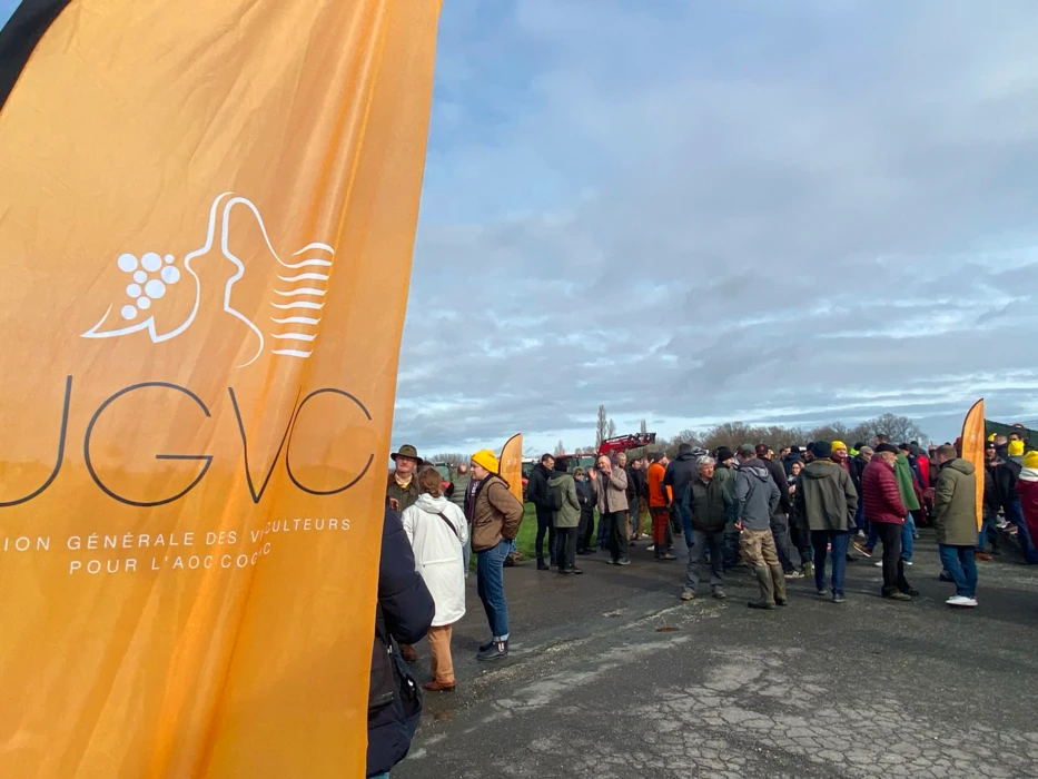 Cognac : l'UGVC cherche des solutions pour préserver les exploitations face aux baisses d'achats