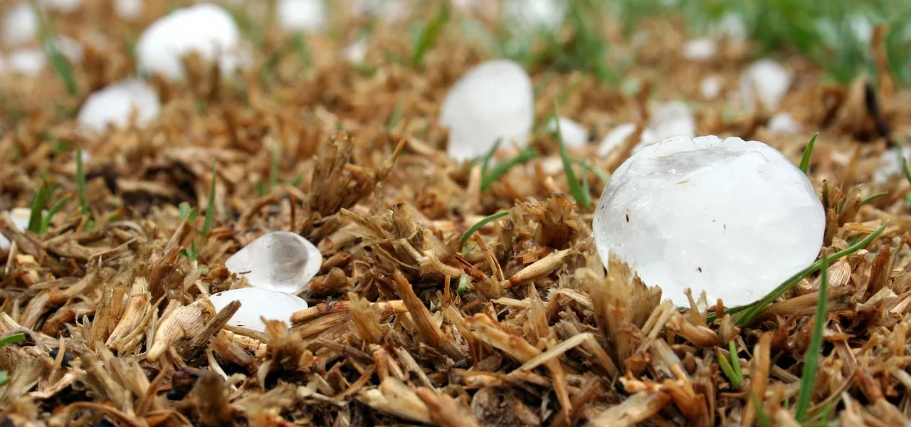 Une concertation publique pour les risques climatiques en agriculture