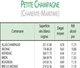 petite_champagne_cm_1.jpg