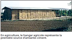 hangar__agricole.jpg