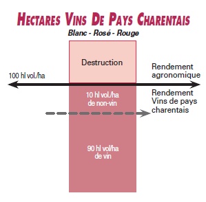 hectares_vins_pays.jpg