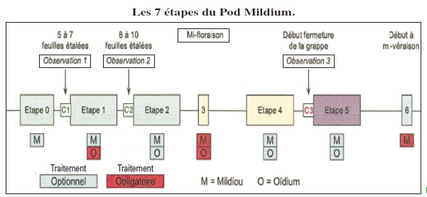 7_etapes_du_pod_mildium.jpg