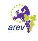 logo_arev.jpg