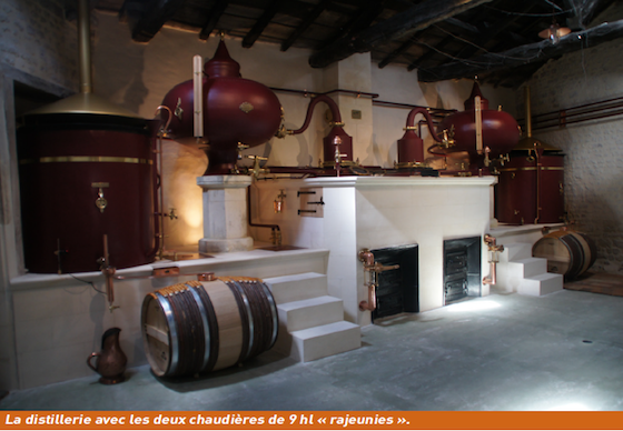 le_paysan_vigneron-distillerie_du_domaine_du_breuil_de_segonzac.png