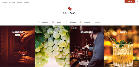 site_web_cognac.fr_visuel_2_-_560.png