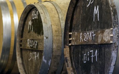 La montée en force des cognacs mono-cépages