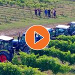 [video] Les moteurs redémarrent au Paysan Vigneron